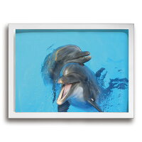 アートフレームポスターイルカ海動物インテリア装飾画30x40cm