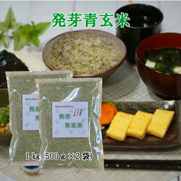 発芽青玄米1kg(500g×2袋)国内産100%