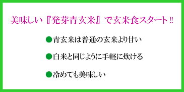 発芽青玄米1kg(500g×2袋)国内産100%