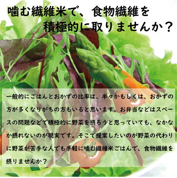 噛む繊維米6kg(3kg×2袋)発芽玄米 発芽青玄米 青玄米