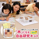 【ワークブック付き】木になる自由研究 夏休み 自由研究 工作 おたすけ キット 子供 小学生 低学年 高学年 1年生 2年生 3年生 4年生 5年生 6年生 理...