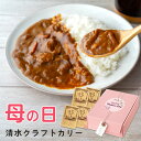 母の日 清水クラフトカレー 4種類詰め合わせ 木のカレースプーン セット / 母の日ギフト プレゼン ...