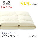 イワタ ダウンケット SDL ホワイトダック ダウン80% DE-KS26-300 セミダブル 掛け寝具 ふとん 羽毛布団 IWATA(3)
