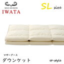 イワタ ダウンケット SL マザーグース90% シングル DE-KS89-222 掛け寝具 ふとん 日干し 水洗い ベッド 羽毛布団 IWATA(3)