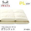 イワタ ダウンケット DL フランスピレネーグース ダウン95% ダブル DE-KS70-222 掛け寝具 ふとん 日干し 水洗い ベッド 羽毛布団 IWATA(3)