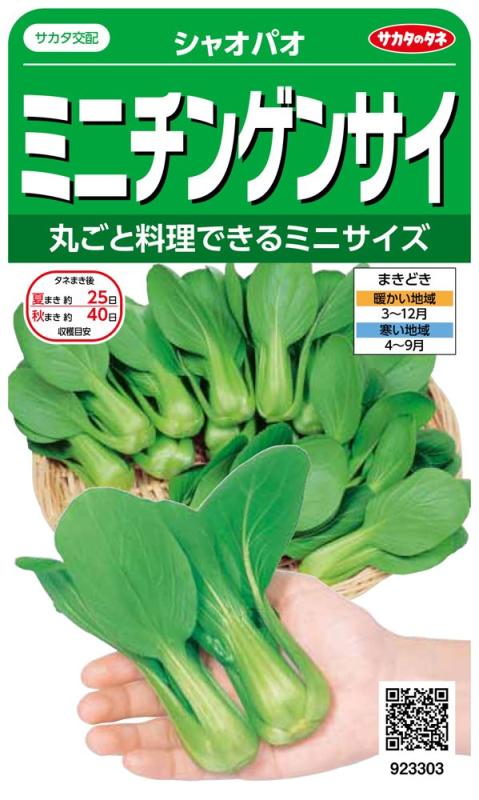 Rakuten - サカタのタネ 実咲野菜3303 ミニチンゲンサイ シャオパオ 00923303