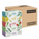 【ケース販売】 スコッティ フラワーボックス 長持ちティシュー 500枚(250組) 5箱 ×12入り