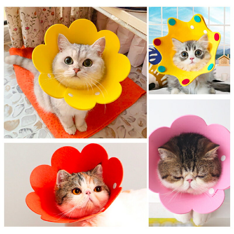 ���ꥶ�٥����顼 �� ǭ ���顼 ���٤륫�顼 ���٤륵���� XS S M L �Ѹ奦���� ���� �ڥå����� �ͥ� ����ե� �� �͵� ���� �ե��å���� ������� �İ���