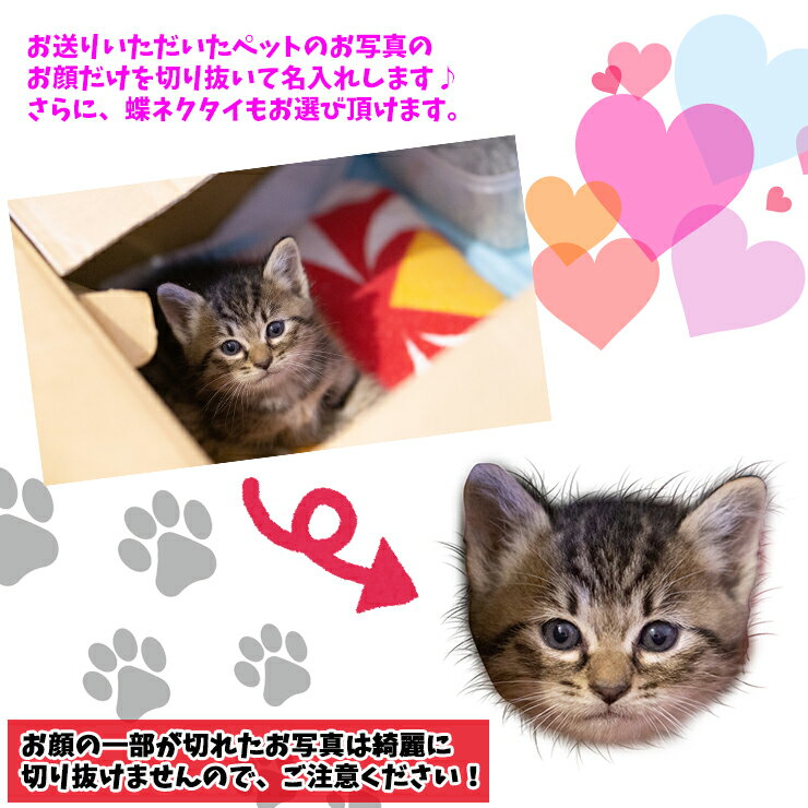 うちのペット♪ フェイス 名入れ ミニハードケ...の紹介画像2