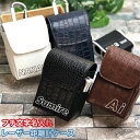 フチ文字 名入れ クロコデザイン レーザー距離計ケース(全4色)ティーも入る! 高級感 プレゼントゴルフ ティー プロゴルファー ゴルフ用 GOLF ケース 収納 カラビナ付き ベルトループ付き マルチカラー 父の日 ポケット ラウンド用品 ゴルフ用品(4)