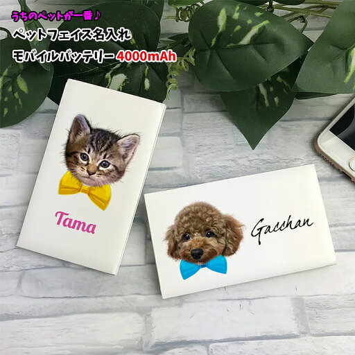うちのペット♪ フェイス 名入れ モバイルバッテリー 5000mAh 薄型 軽量 持ち運び 充電器 薄型カードサイズ モバイルバッテリー 大容量 おしゃれ かわいい プレゼント iPhone アンドロイド スリム コンパクト ラッピング無料 うちのペット♪ フェイス 名入れ モバイルバッテリー 5000mAh 薄型 軽量 持ち運び 充電器 薄型カードサイズ モバイルバッテリー 大容量 おしゃれ かわいい プレゼント iPhone アンドロイド スリム コンパクト ラッピング無料