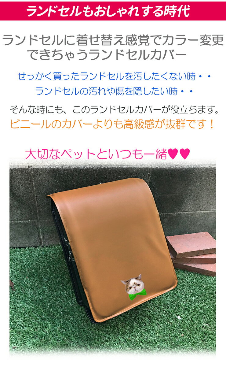 �����ΥڥåȢ� �ե����� ̾���� ���ɥ��륫�С� ��7�� �ɥ��� ̾���� ������ ������� ���λ� �ˤλ� ����ץ� ���إ��å� ���ؽ��� ������ ���ع� ������ ���ؽˤ� ���ˤ� ���ե� �ץ쥼��� £��ʪ ���ꥸ�ʥ� ���ɥ��� ���褱