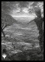 マジック:ザ・ギャザリング プレイヤーズカードスリーブ 『イニストラード:真夜中の狩り』「永遠の夜」版 《平地》 (A) MTGS-184