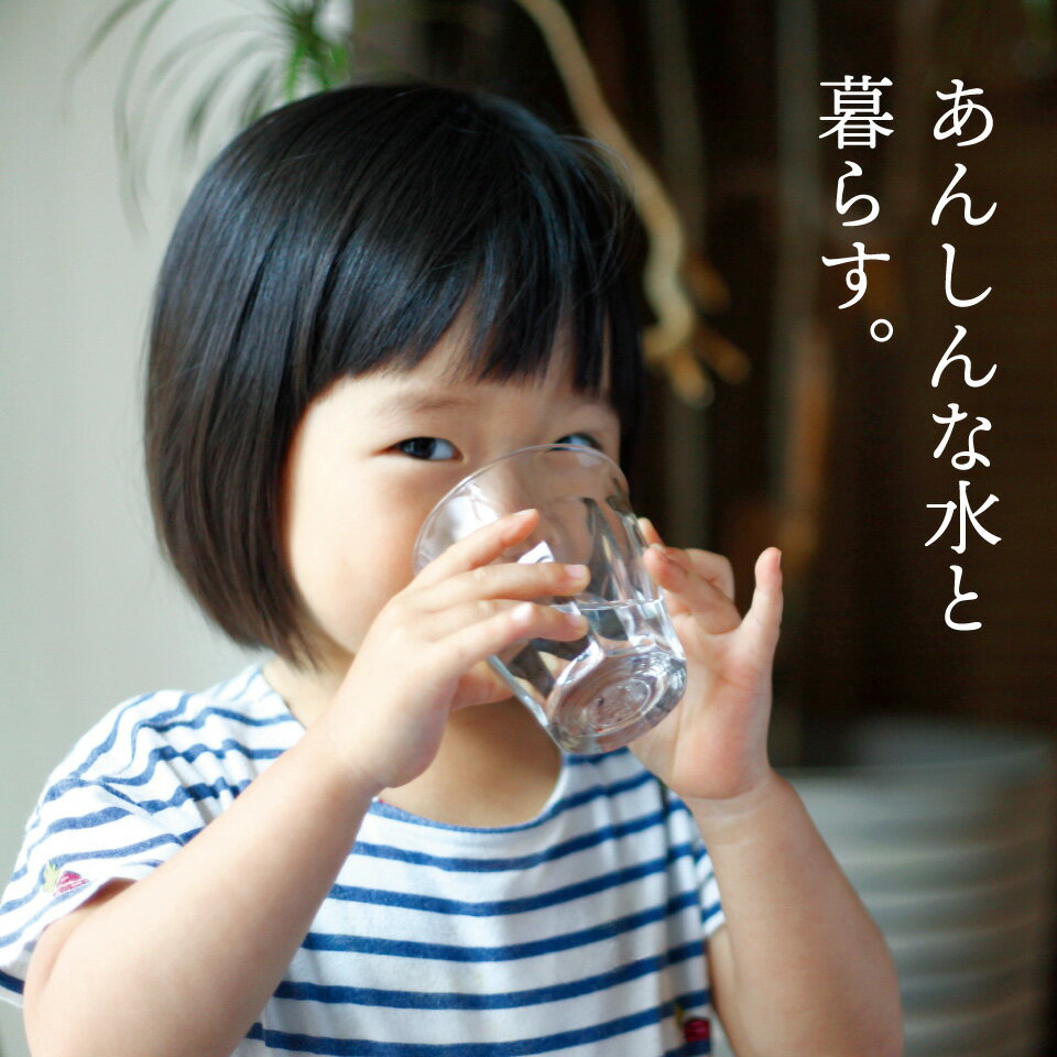 マルチピュア浄水器 MODEL-D400BG（ビルトイン兼用水栓）