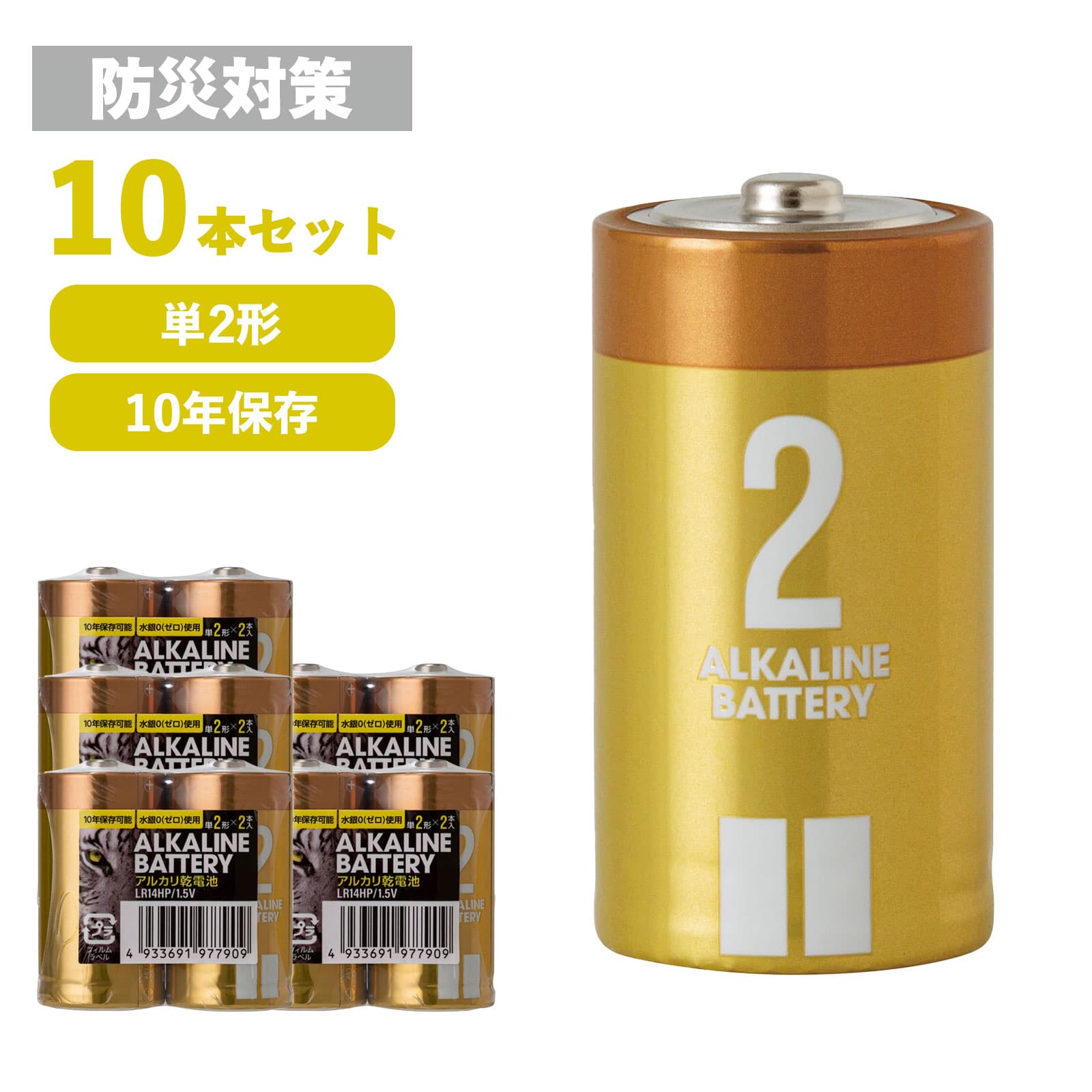 乾電池 単2形 10本セット (2パック×5) アルカリ乾電池 保存10年 単2 単二 まとめ買い 長期保存 備蓄 防災 災害対策 地震 大容量 リモコン おもちゃ 交換用 お徳用 箱 中銀電池 LR14