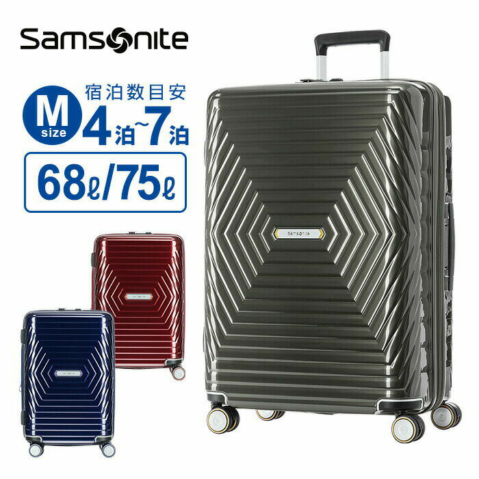 正規品 サムソナイト Samsonite スーツ