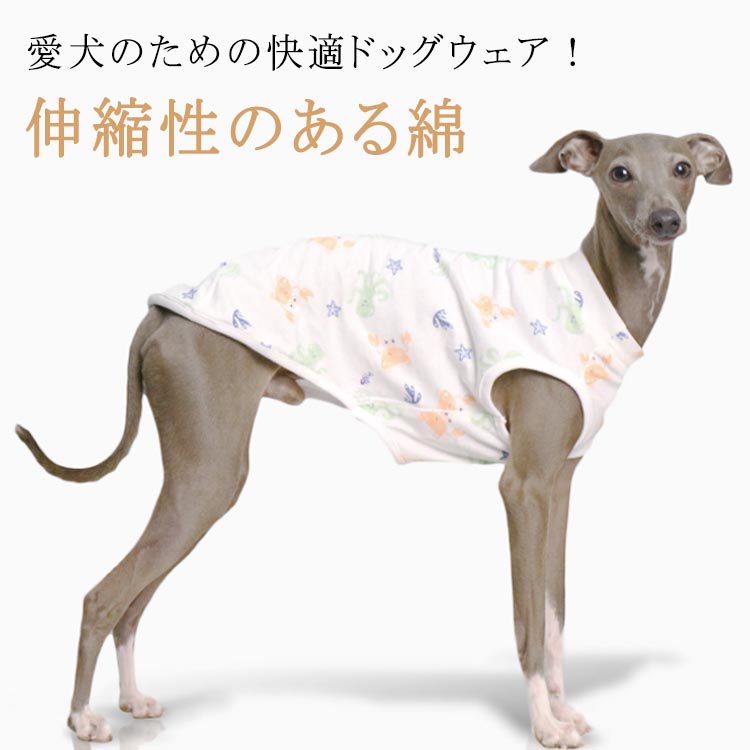 Tシャツ グレーハウンド べドリントンテリア イタグレ イタグレ おしゃれ ノースリーブ ウィペット服 犬服 Tシャツ 半袖 Tシャツ イタリアン 袖なし 服 ミニピン 服 イタリアングレーハウンド ウィペット服 ベドリントンテリア服 イタグレ 服 イタグレ服 春夏 秋