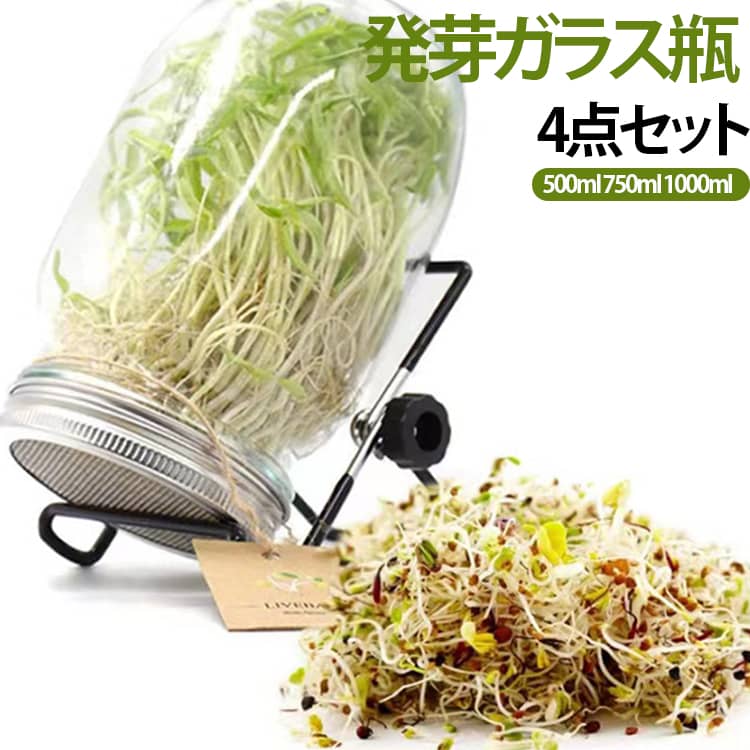 4点セット 発芽ガラス 750ml 1000ml 500ml スプラウト栽培キット 種子発芽成長セット メイソンジャー ガラス瓶 スタンド付き ステンレス フィルター蓋 種子 ブロッコリースプラウト 野菜 育てる