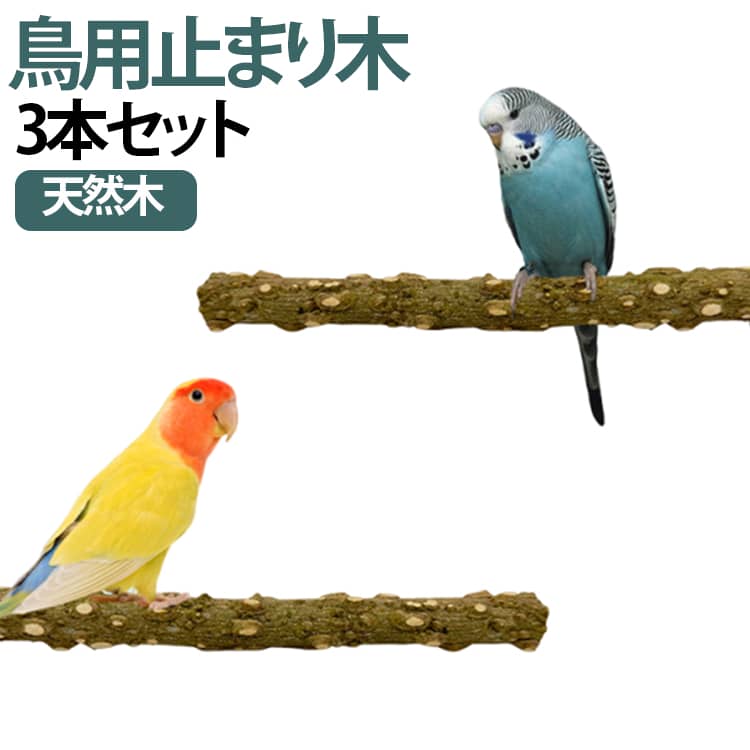 楽天市場】おしゃれ（止まり木｜鳥用品）：ペット・ペットグッズの通販