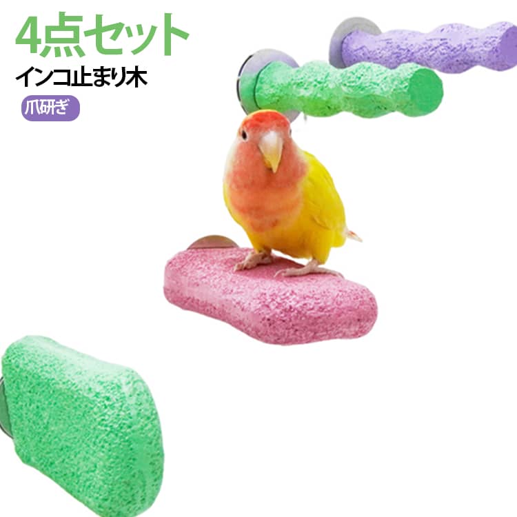 楽天市場】カクタスパーチ（鳥用品｜ペット・ペットグッズ）の通販