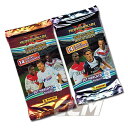 【SALE20%OFF】PANINI フランスリーグアン 13-14