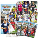 【SALE30%OFF】PANINI フランスリーグアン 14-15