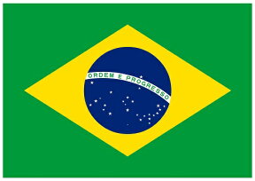 【サポーター必見】ブラジル国旗　フラッグ【サッカー/Jリーグ/応援グッズ/Brasil/Brazil/ワールドカップ/オリンピック】ネコポス対応可能
