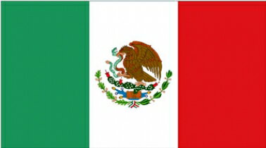 【サポーター必見】メキシコ　国旗フラッグ【サッカー