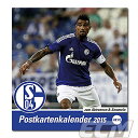 【SALE30%OFF】シャルケ 2015 ポストカードカレンダー【ブンデスリーガ/ドイツ代表/サッカー/内田篤人/Schalke】◆ネコポス対応可能◆DFB1...