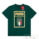 【ECM32】【国内未発売】【SALE】イタリア代表 DNA ファンTシャツ グリーン【20-21/サッカー/ユニフォーム/アズーリ/トレーニング】ネコポス対応可能 330