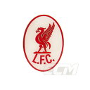 yECM25zLIV01yzov[ Co[o[h }Olbgyv~A[O[O/TbJ[/Liverpool/@v[/zlR|XΉ\