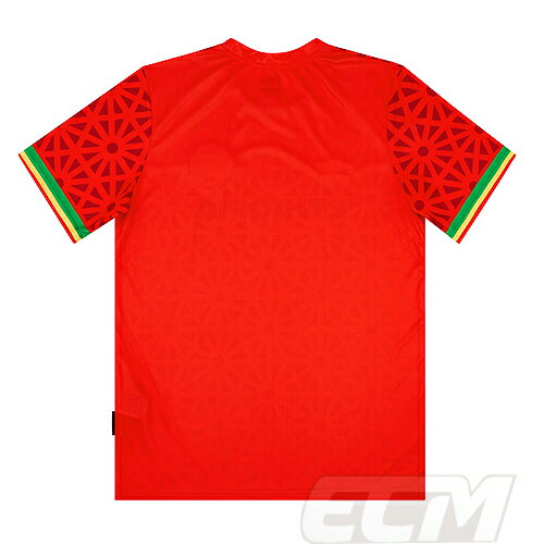 【予約ECM32】【国内未発売】エチオピア代表 サード 半袖【21-22/ETHIOPIA/アフリカ/サッカー/ユニフォーム】通販 サッカー 用品 セール