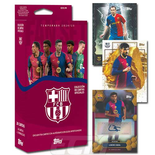 ƥʥʥFIFA֥ɥå2006ͥǰե奢