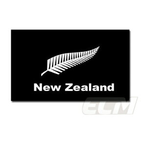 【サポーター必見】NEZ19ニュージーランド シンボル フラッグ【サッカー/ニュージーランド代表/New Zealand/応援グッズ/ワールドカップ】ECM12 ネコポス対応可能
