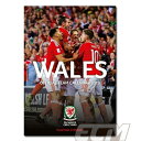 【SALE50%OFF】【国内未発売】ウェールズ代表 2018年 カレンダー【サッカー/Wales/ベイル/ユーロ2016】