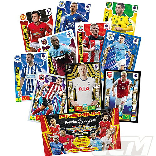 PRE20�ڹ���̤ȯ���PANINI Adrenalyn XL 