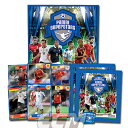 【国内未発売】PANINI EURO2016 SUPERSTARS カードセット【パニーニ/ユーロ2016/サッカー/トレカ】