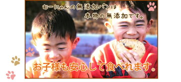 むーにゃんお試しセット【楽ギフ_のし】食パン 無添加 パン メロンパン ベーグル フランスパン くりーむぱん 冷凍 無添加パン 健康 パン 詰め合わせ チョコロール マドレーヌ クルミ オレンジ 棒パン