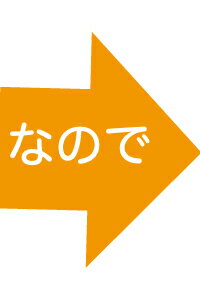 【送料無料】(北海道・九州・は別途500円沖縄は別途1000円)おまかせパン福箱(25~30個入)【福袋】【無添加】