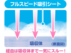 【花王】ロリエ肌キレイガード【昼用】【羽なし】【30個×2個】【RCP】【医薬部外品】【生理用ナプキン】【吸収】【モレ安心】【さらさら】