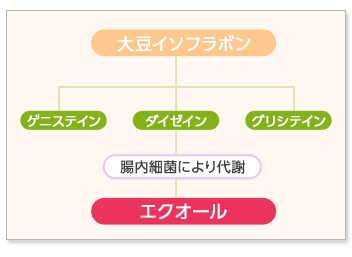 【送料無料】大塚製薬 EQUELLE(エクエル) 112粒×2個(56日分相当)【smtb-TD】【RCP】【エクオール含有大豆胚芽乳酸菌発酵物加工食品/大豆/乳酸菌/イソフラボン/産科/婦人科】【在庫あり】