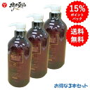 スカルプタイム 薬用 シャンプー 700mL ×3本 スカルプ スカルプケア ノンシリコン 処方 リンスインシャンプー ピロクトンオラミン 配合