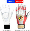 Worldpegasus ワールドペガサス 野球 ソフトボール 高校野球ルール対応モデル 打撃用手袋 バッティンググローブ 合成皮革製 両手用 WEBG830 ...