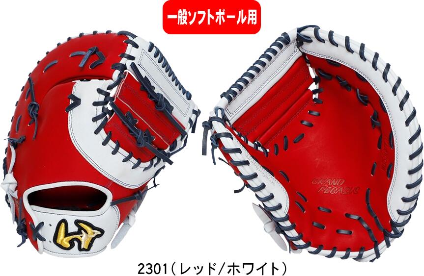 ̵Worldpegasus ɥڥ ̥եȥܡ륰  ⹻ Ҳ 3 ɥڥեȡå㡼 W...