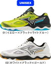 【送料無料】MIZUNO ミズノ 卓球シューズ ウエーブメダル 7 WAVE MEDAL 7 81GA2315 01 02 #新チーム #新人戦 #衣替え #秋...