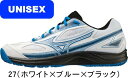 【送料無料】MIZUNO ミズノ テニスシューズ BERAK SHOT 4 WIDE OC ブレイクショット 4 WIDE OC 61GB2343 27 クレー...