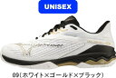 【お取り寄せ含】【送料無料】MIZUNO ミズノ テニスシューズ ウエーブエクシードライト 2 SW OC 61GB2319 09 クレー・砂入り人工芝コート用...