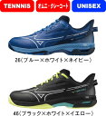 【お取り寄せ含】【送料無料】MIZUNO ミズノ テニスシューズ WAVE EXCEED 5 SW OC ウエーブエクシード 5 SW OC 61GB2314 ...