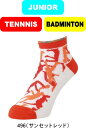 【メール便対応】YONEX ヨネックス テニス バドミントン ジュニアスニーカーインソックス 19161JY JUNIOR ジュニア 数量限定 #進級 #進学 ...
