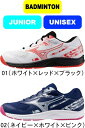 【お取り寄せ品】【送料無料】MIZUNO ミズノ バドミントンシューズ SKY BLASTER 4 スカイブラスター4 71GA2533 #エントリーモデル #...